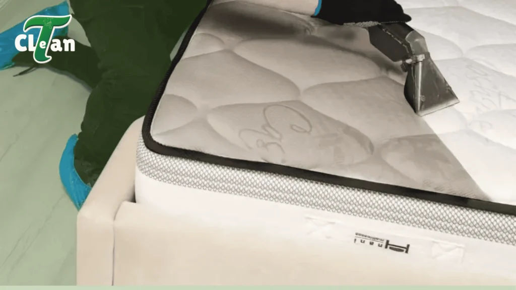 mattress cleaning company