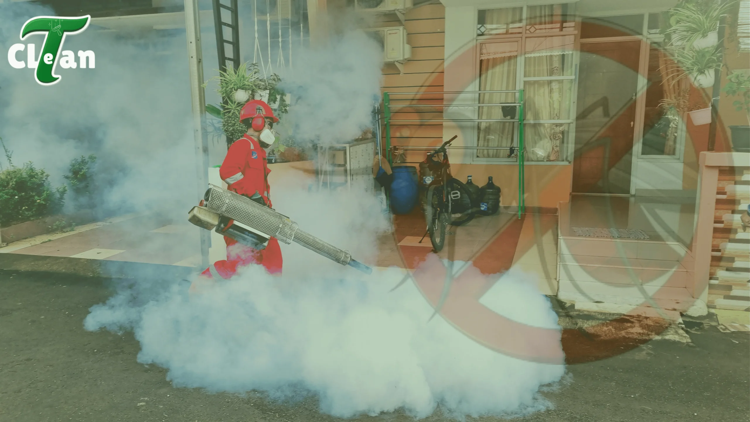 pest control pest control