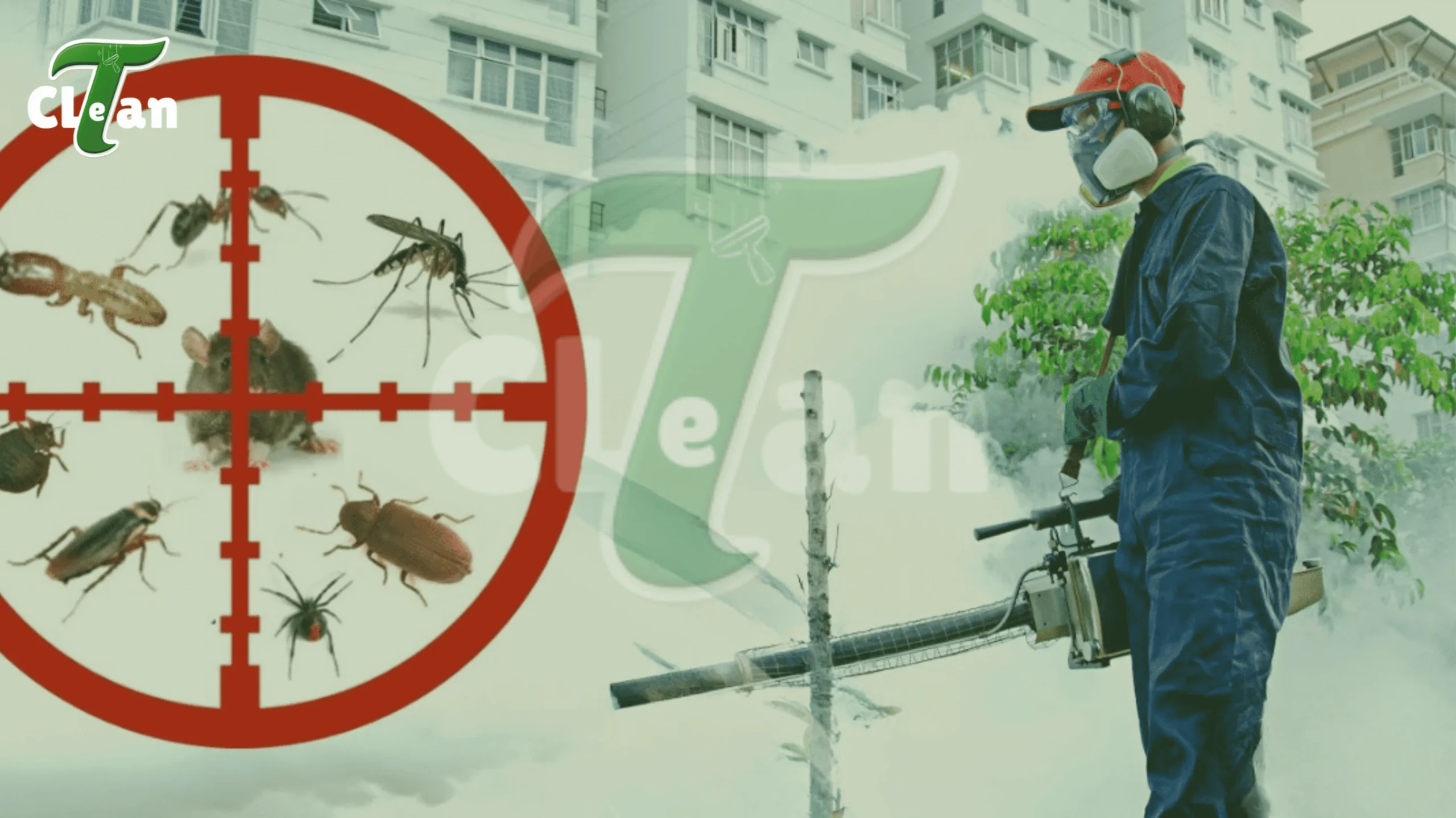 pest control pest control