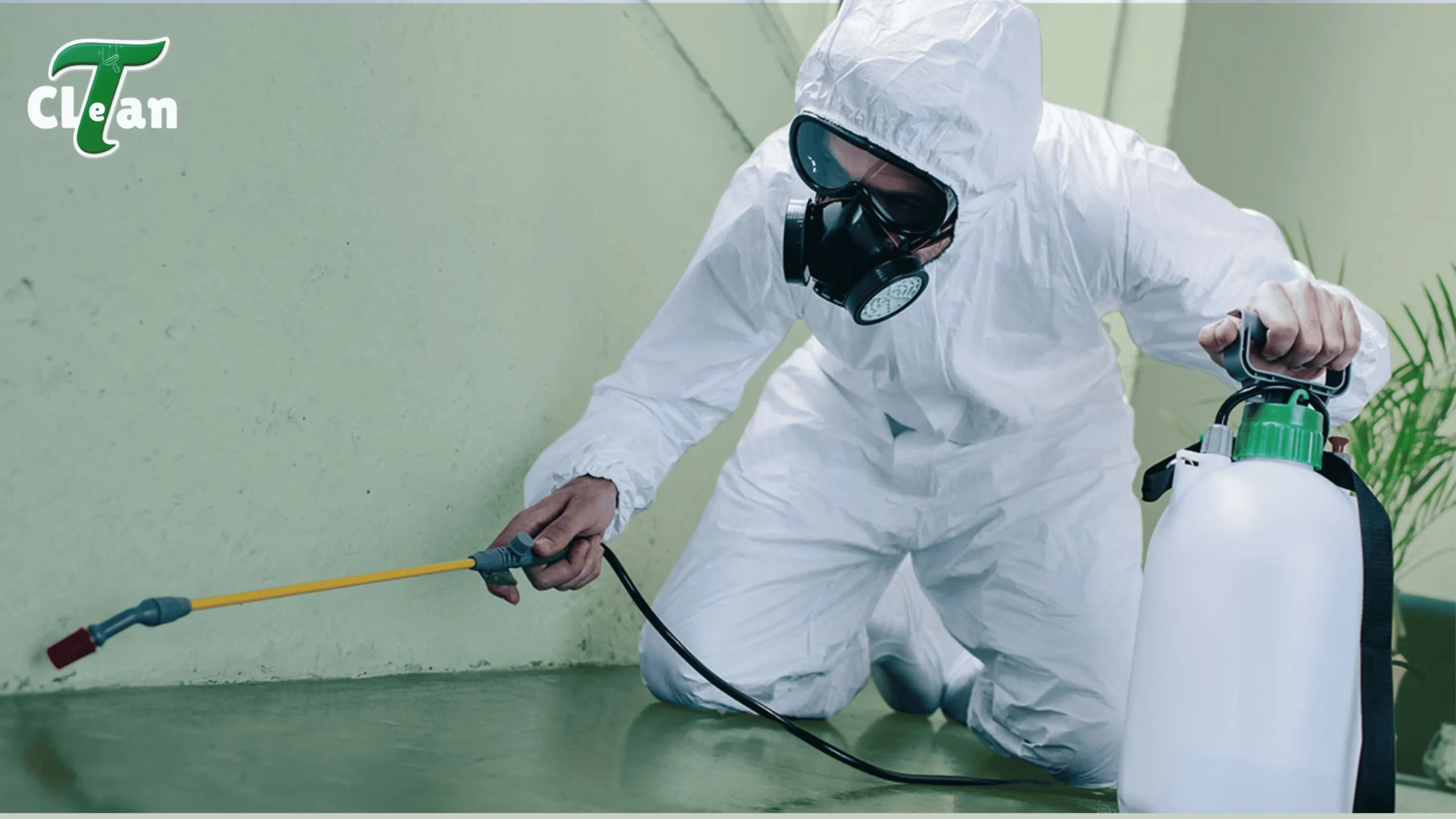 pest control pest control